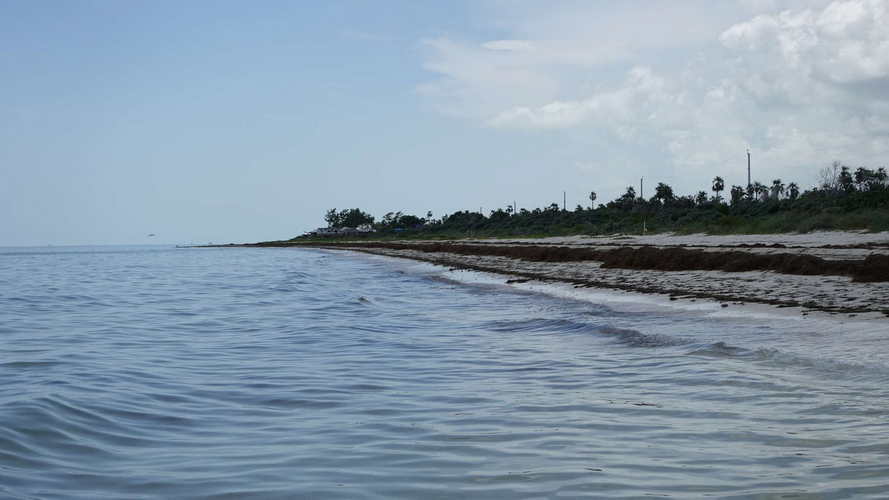 MIA_2023-08-11 14-18-29_RX_05874